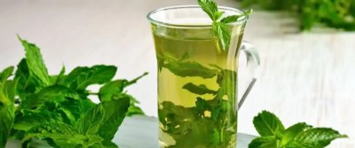 Mint - Small