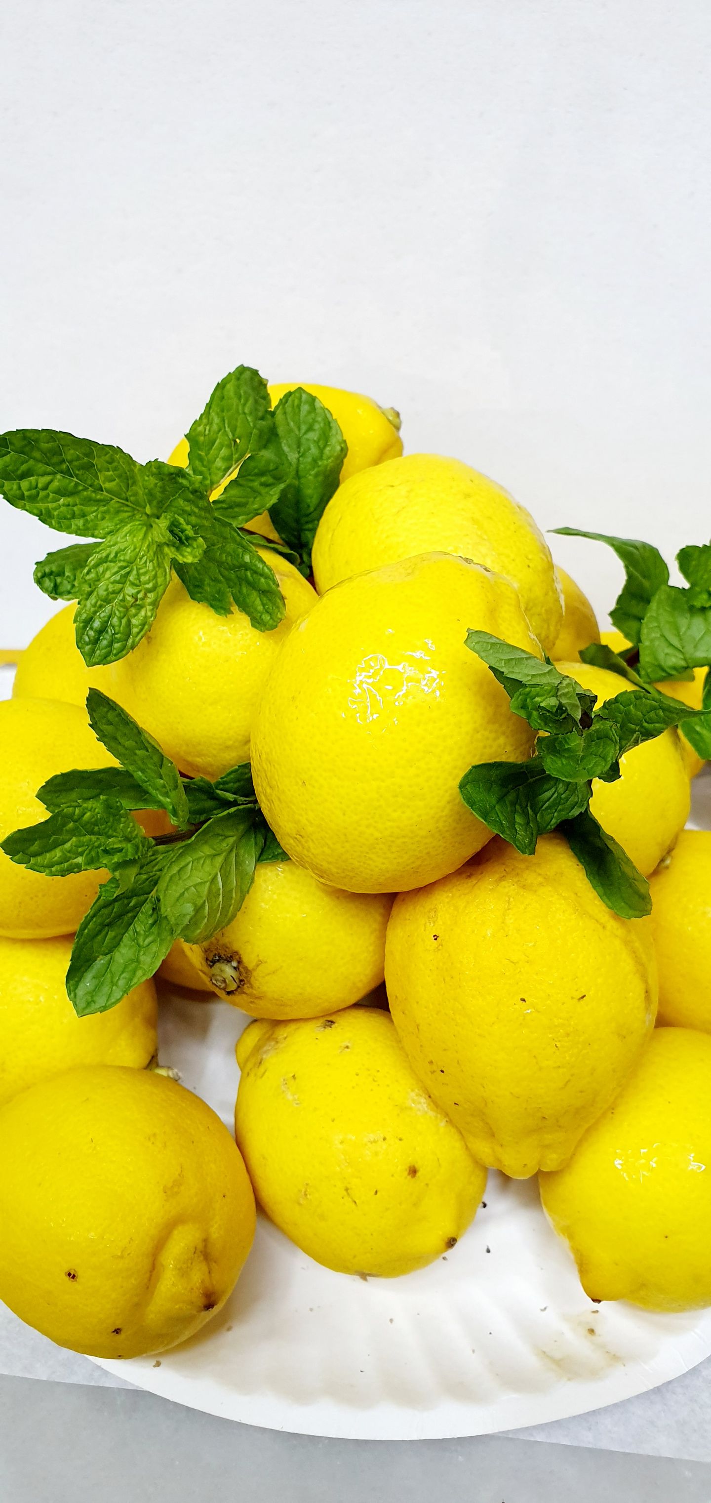 Lemon  - Large