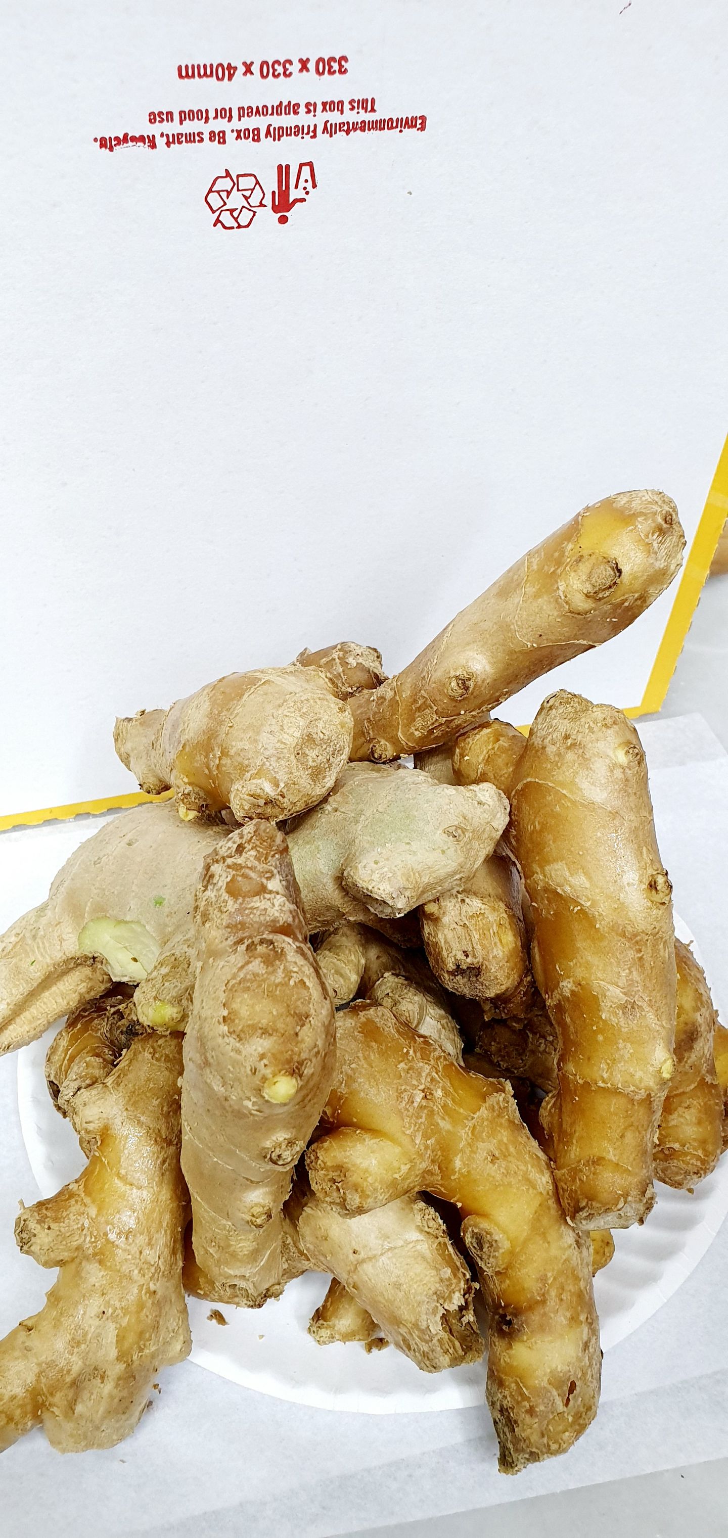 Ginger  - Small