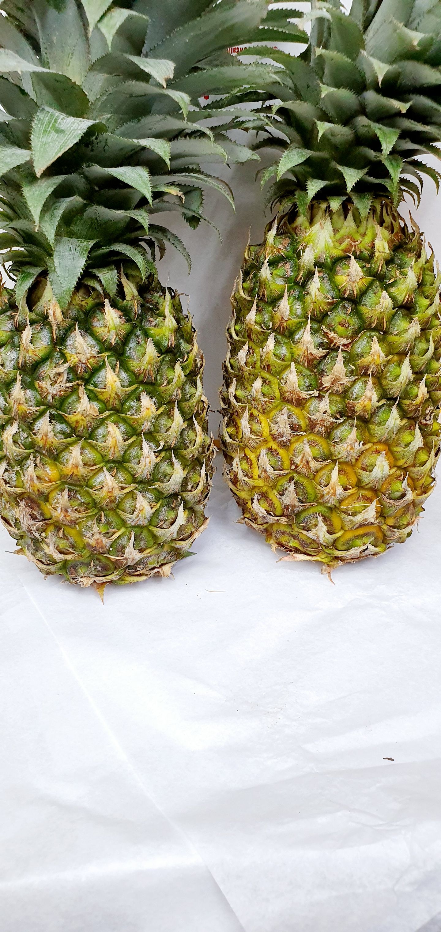 Pineapple  - Large