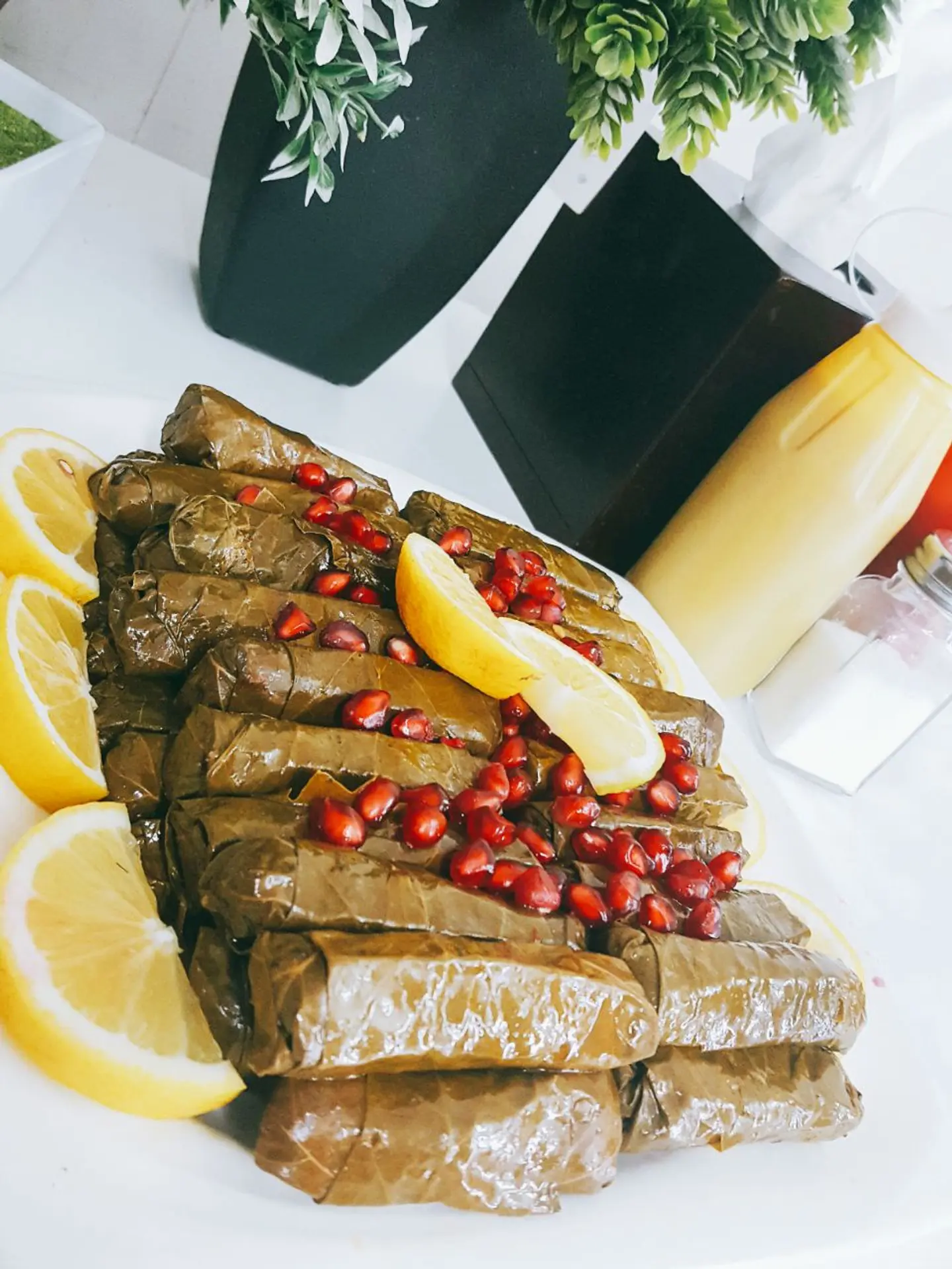 ورق عنب - صغير