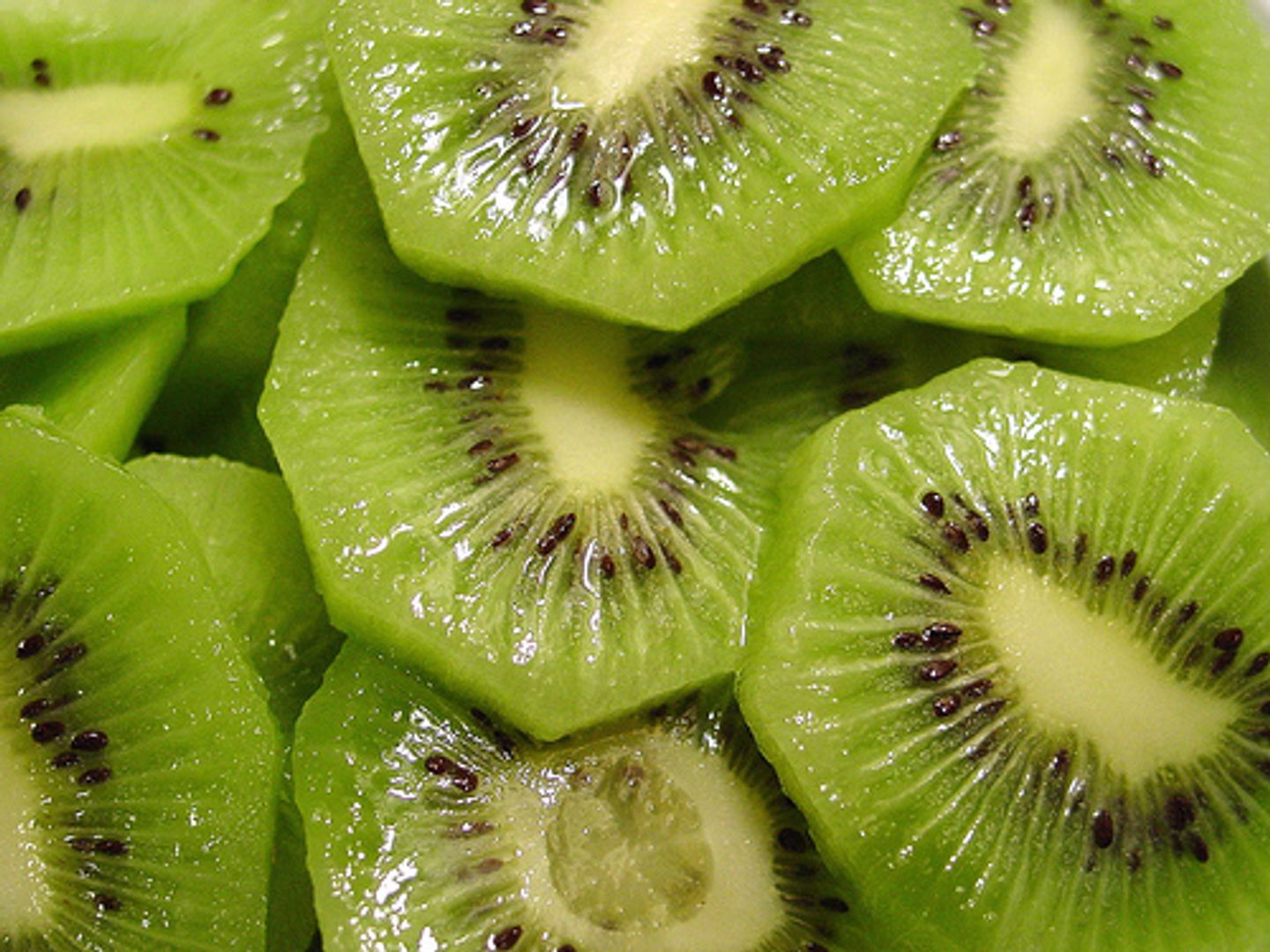 Kiwi - Medium