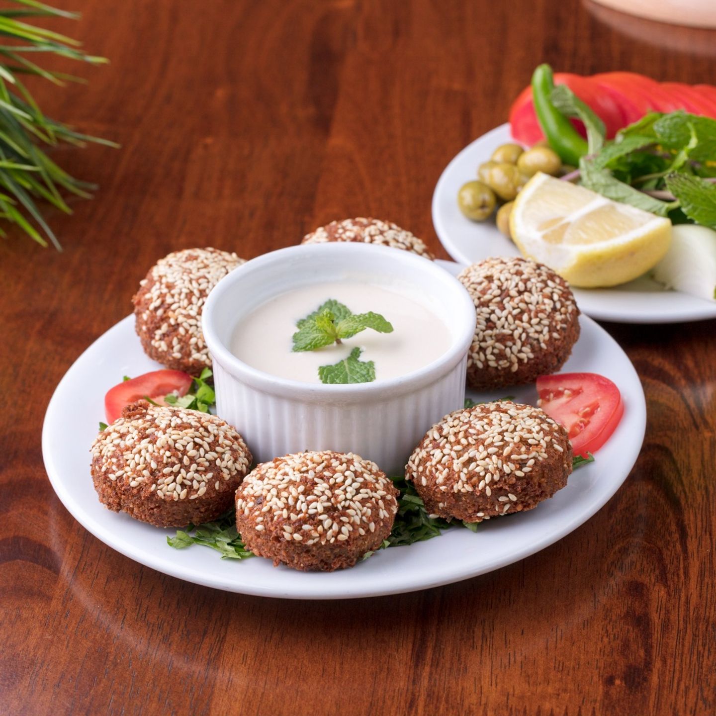 Falafel Platter  - Small