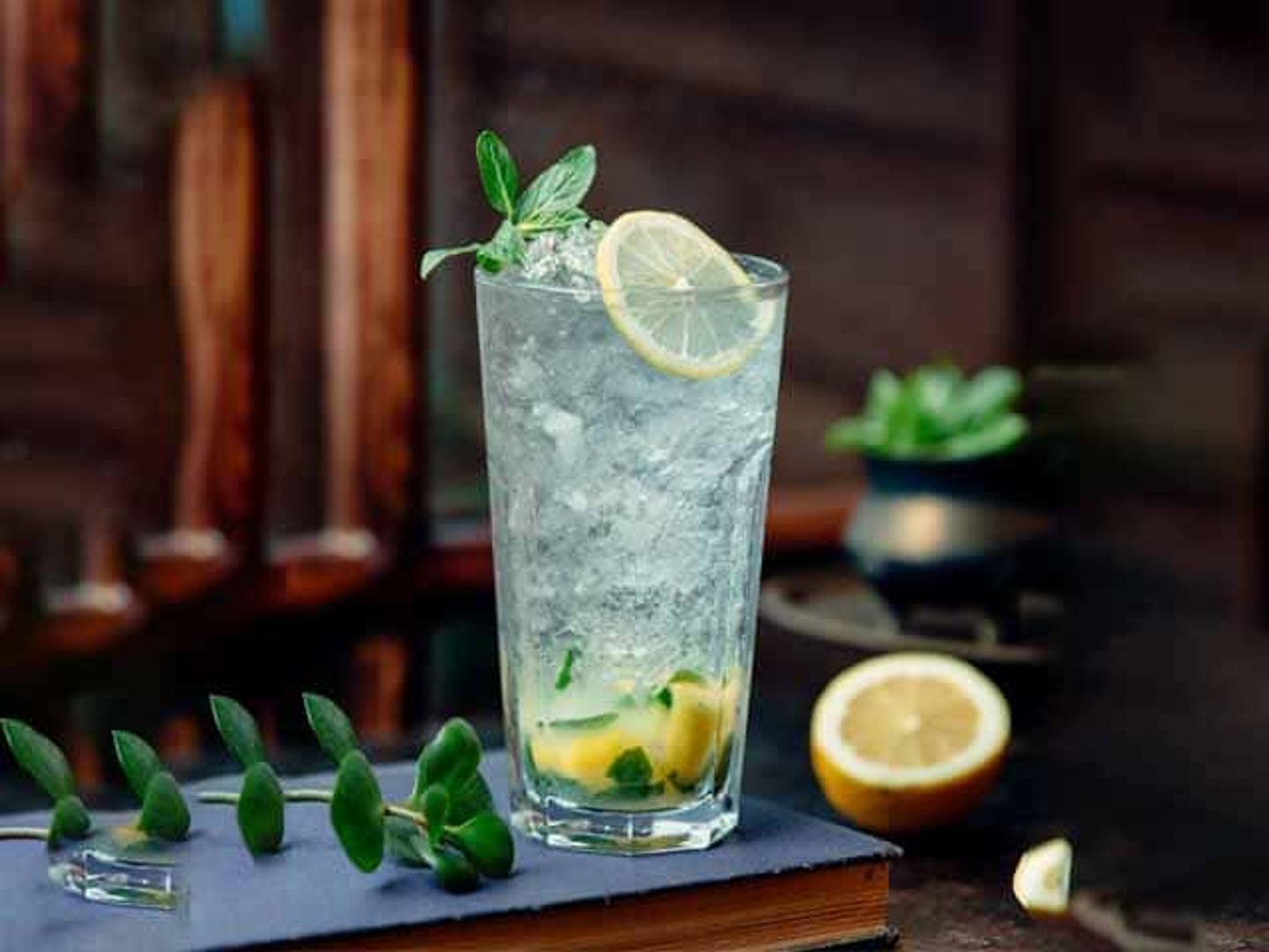 Lemon With Mint Juice - Large