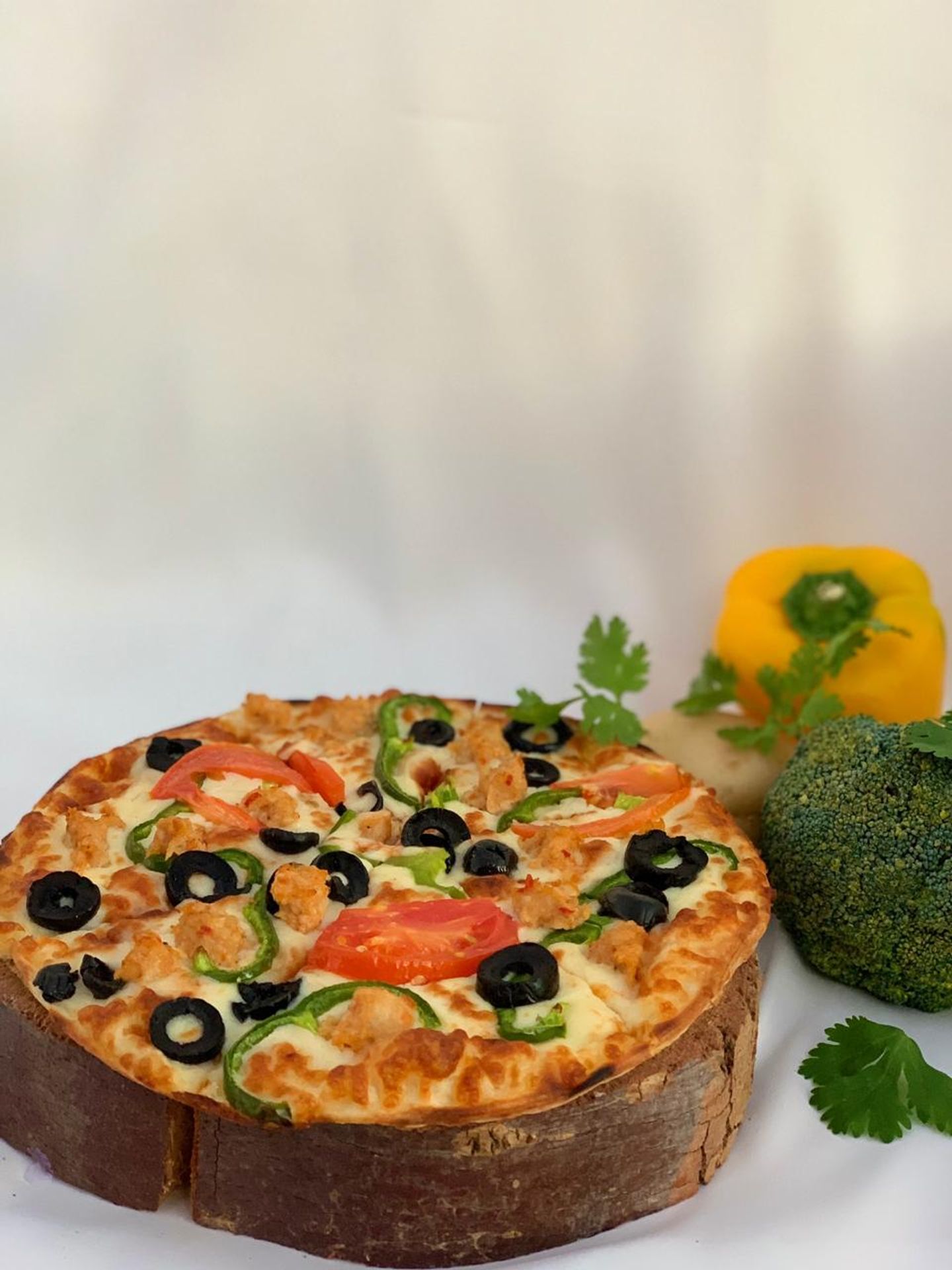دجاج -  صغير