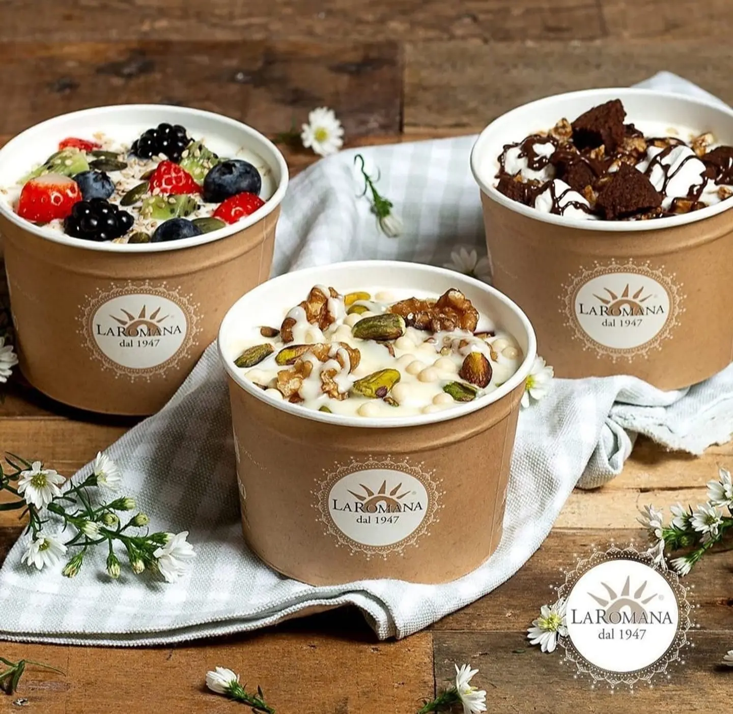 زبادي طازج - زبادي طازج-كبير