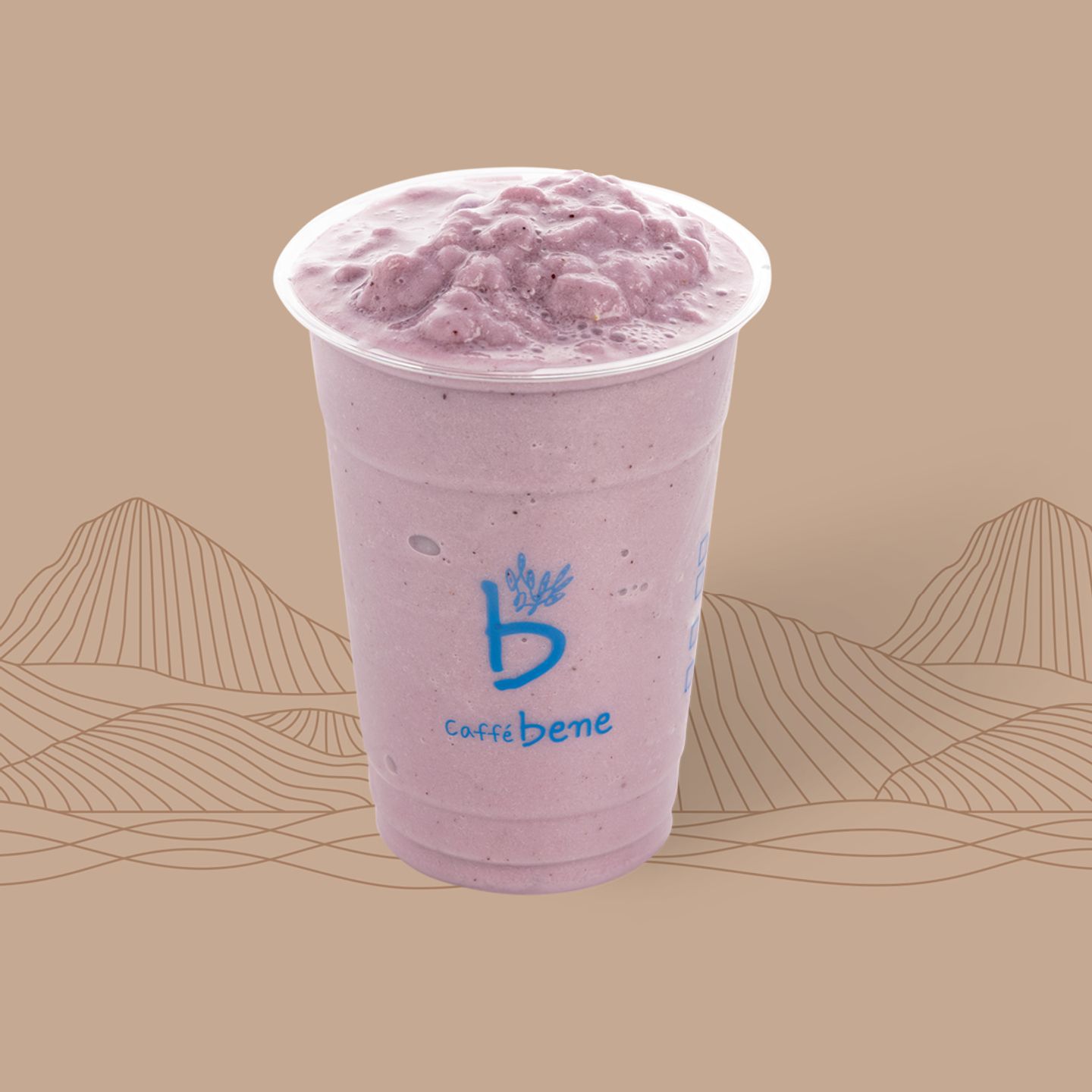 Blueberry Smoothie - Medium