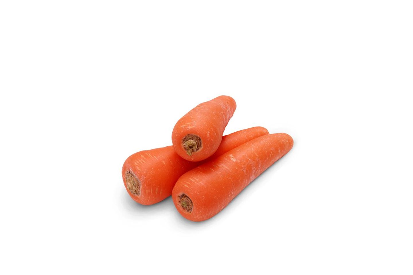 Carrot Kabis - Medium