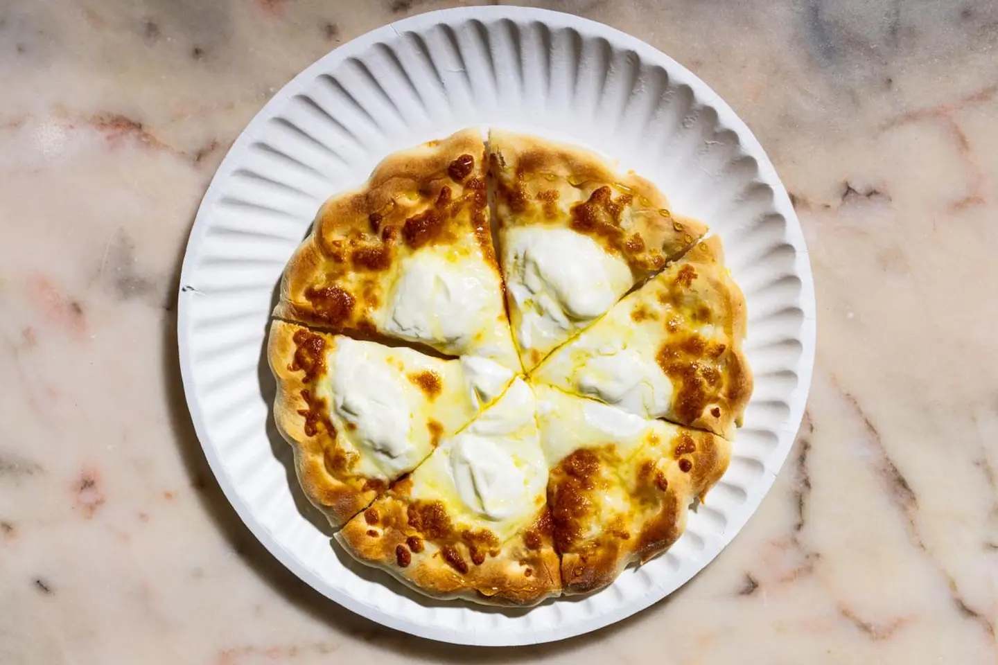 Ash Albulbul - Small