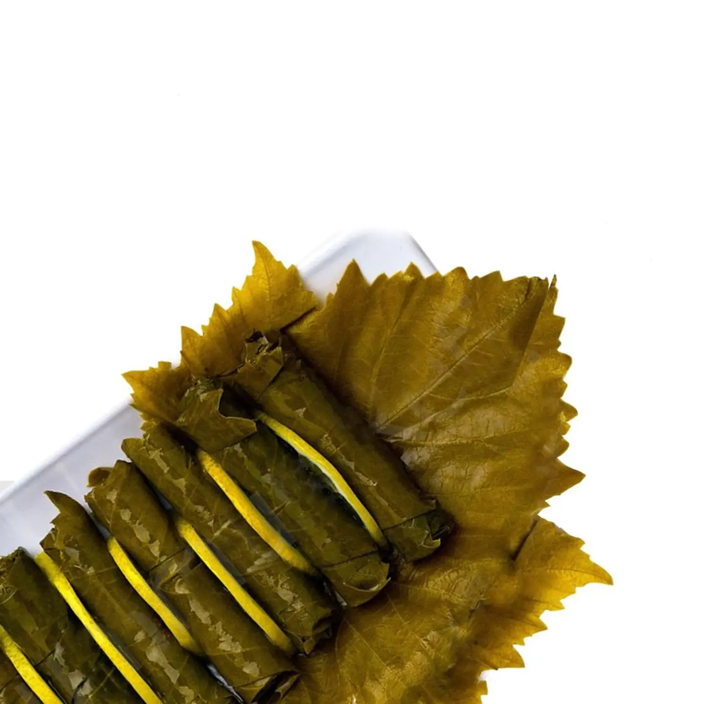 Grape Leaves - Small