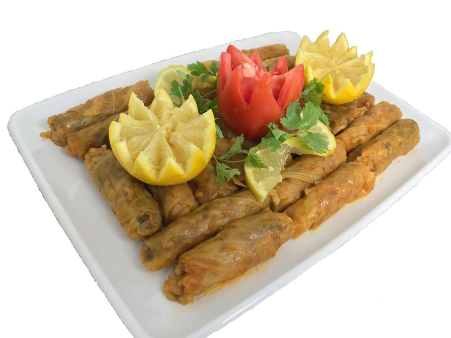Cabbage Roll - Small