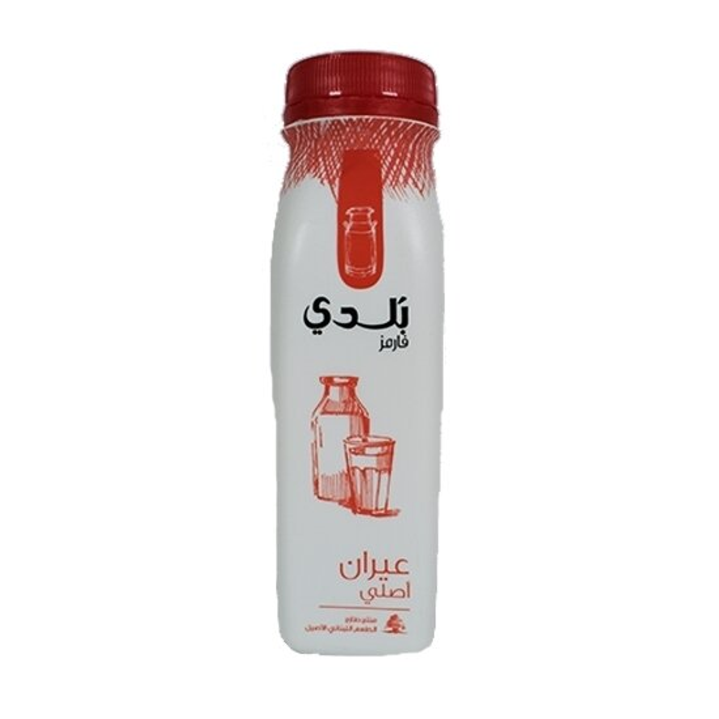 عيران بلدي - كبير