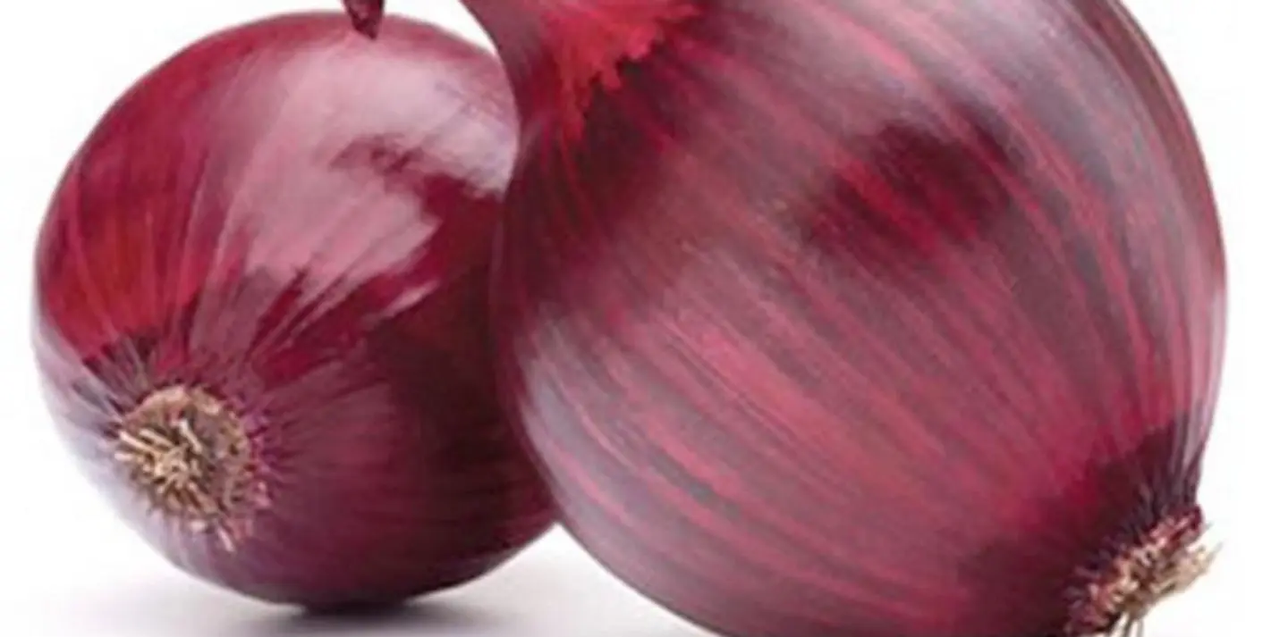 بصل - كيس صغير