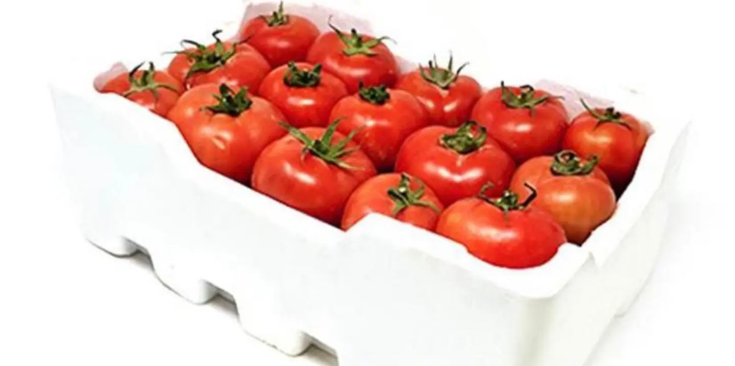 طماطم فلين - صغير