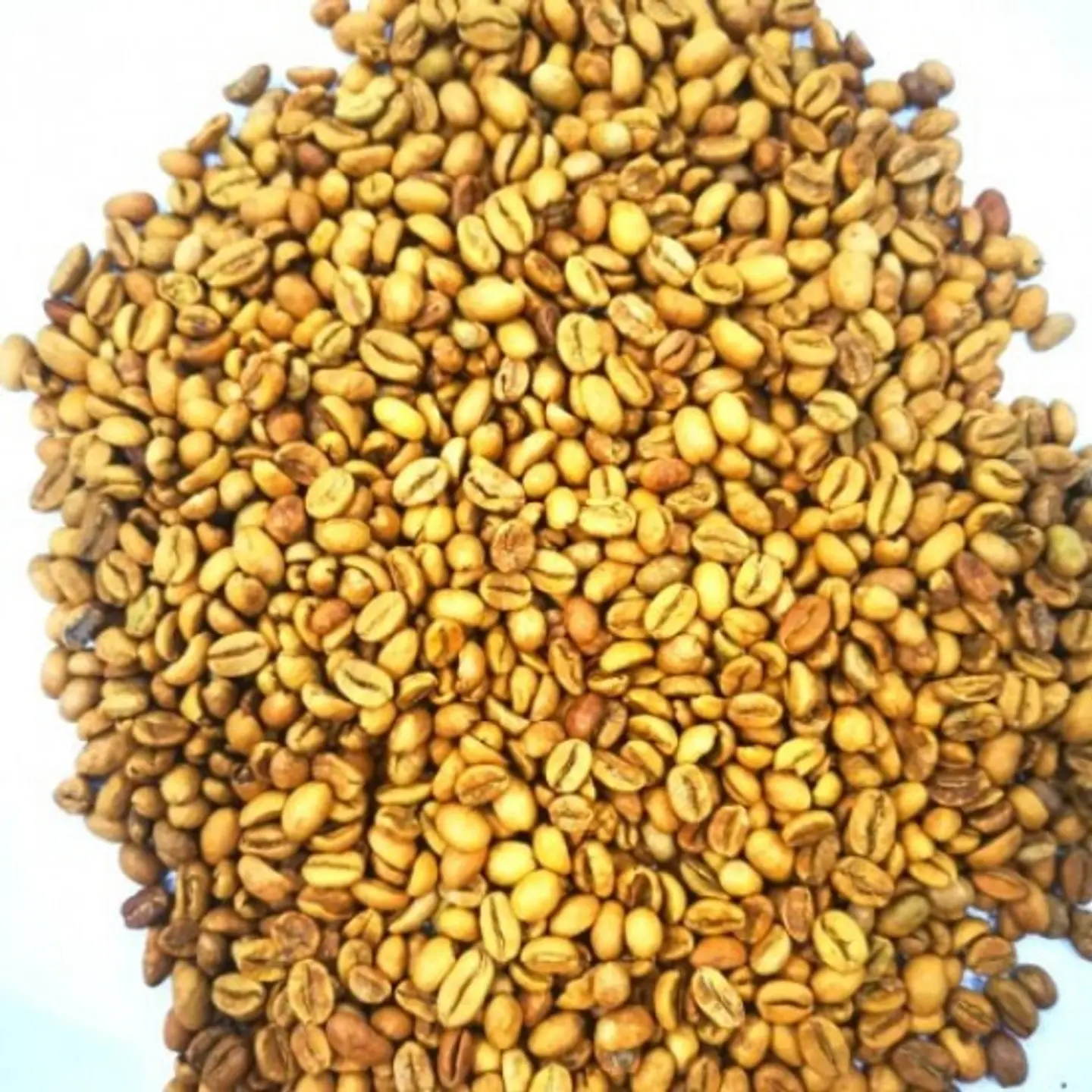 Middle Ben Harari   - 250 G