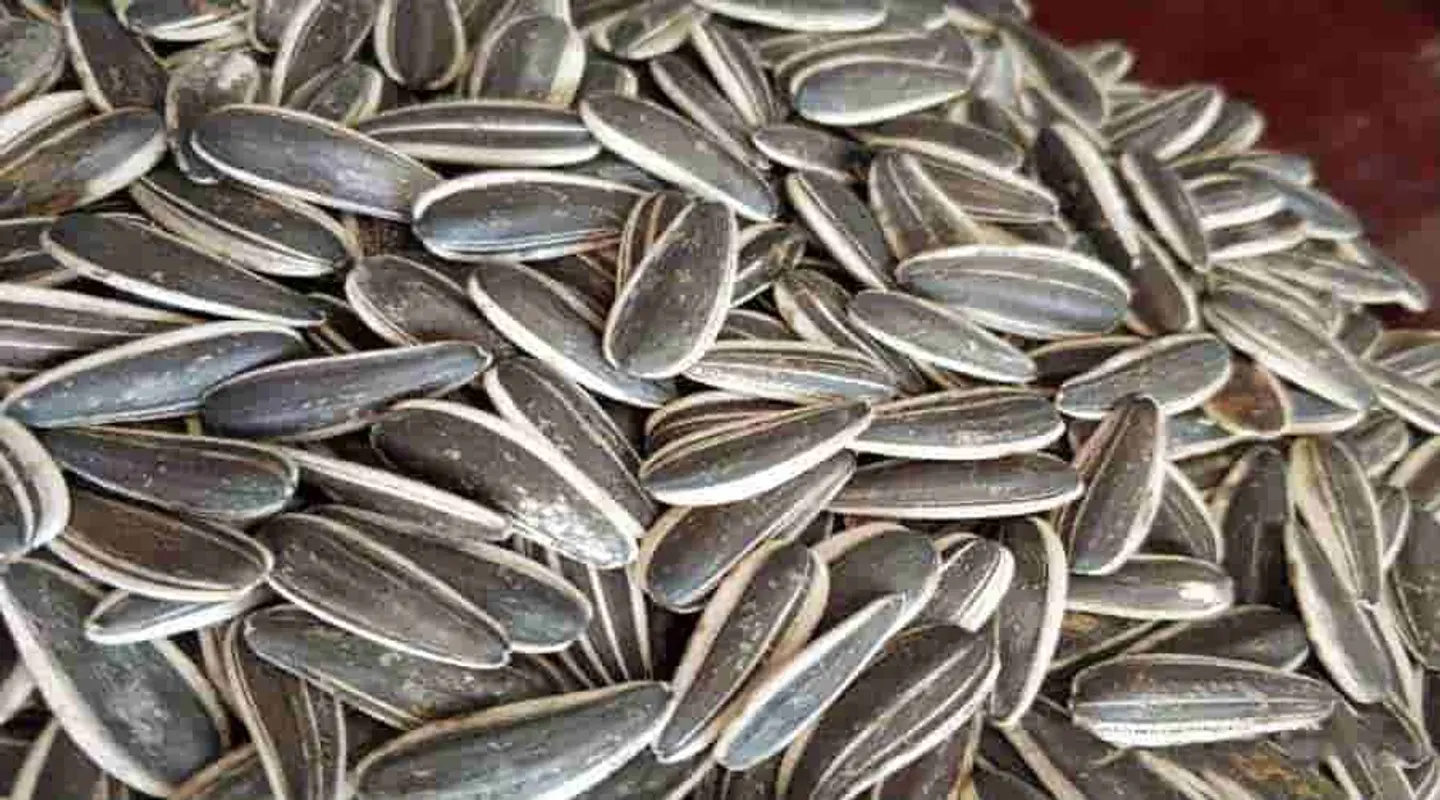 Sunflower Seeds - 250 G