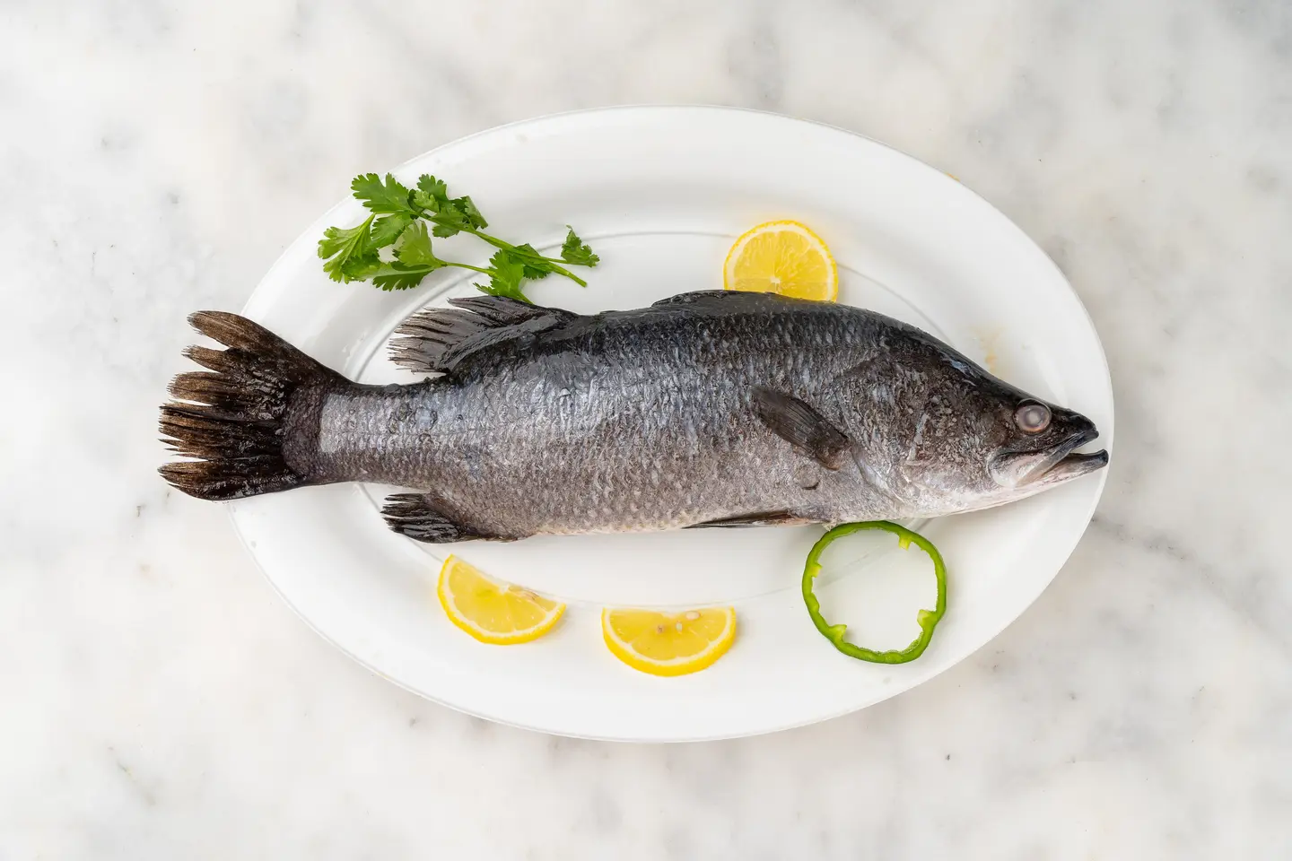 قاروص - مقلي