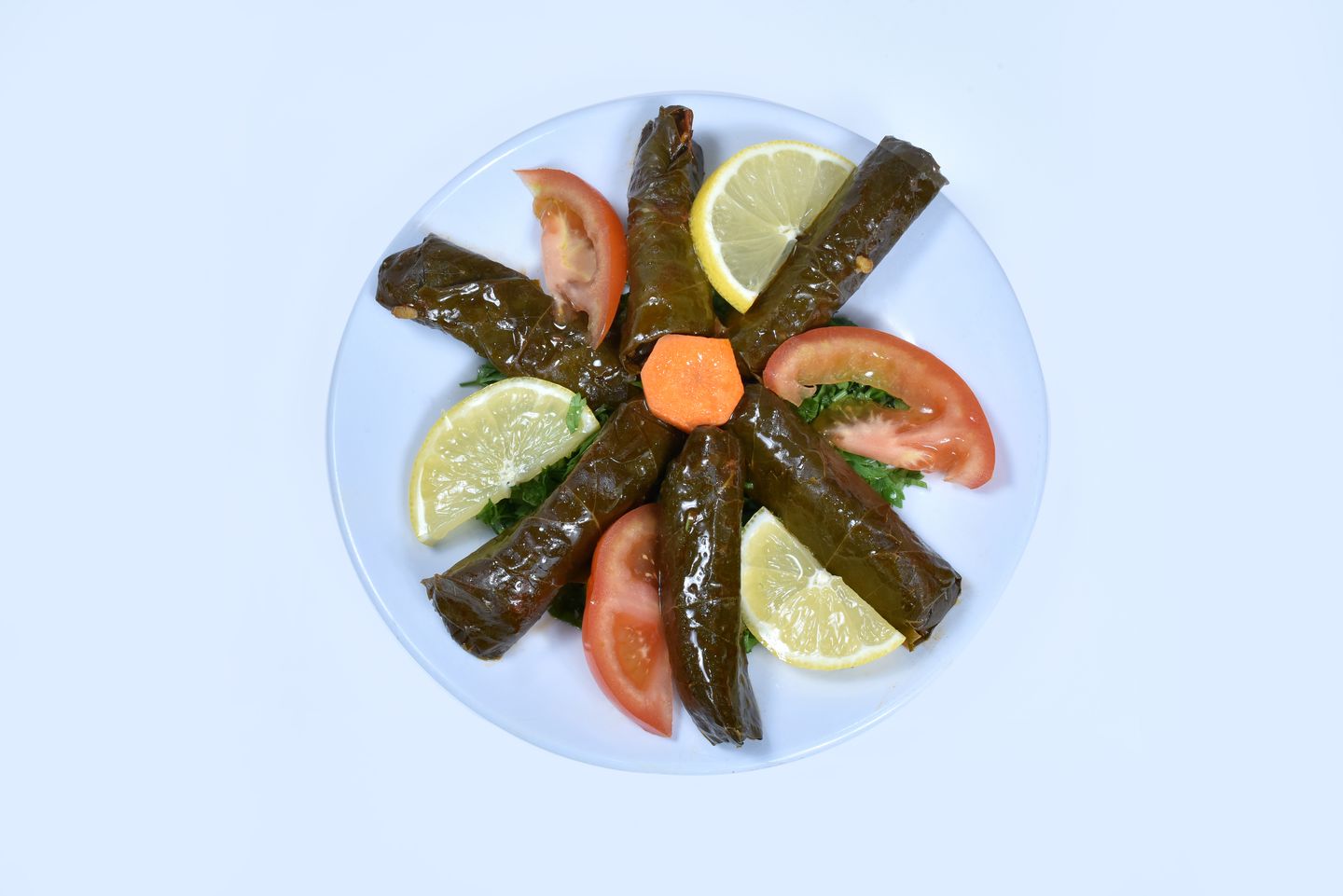 ورق عنب   -  صغير