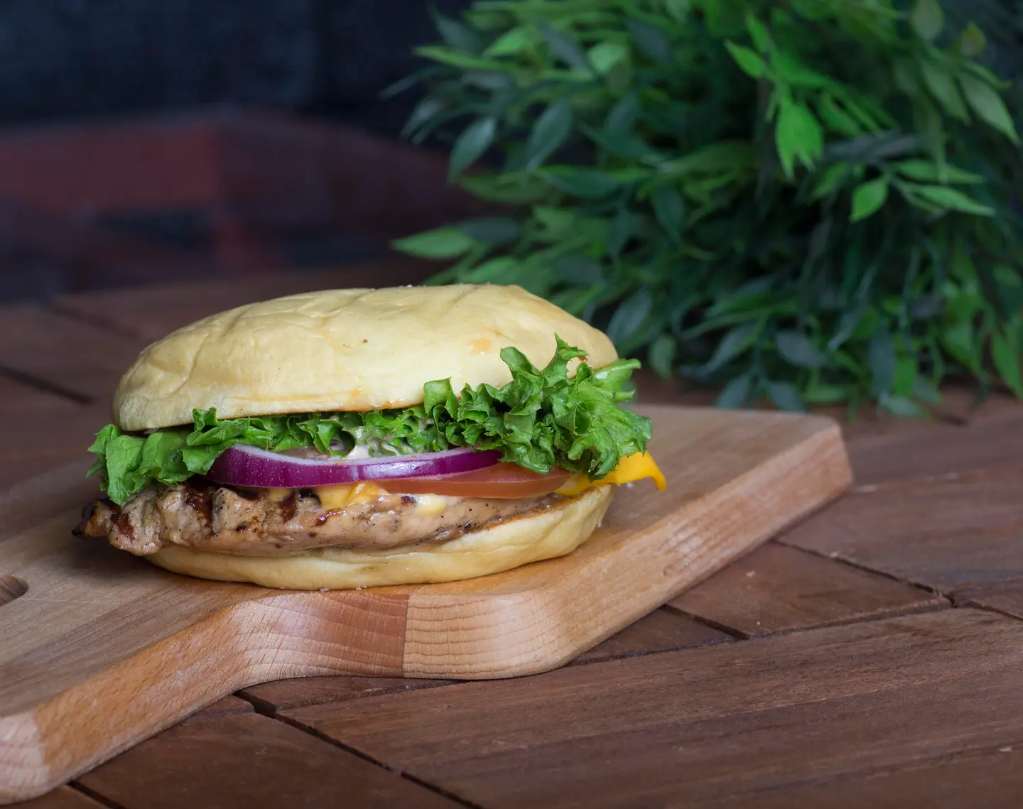 Rasto Chicken - Regular