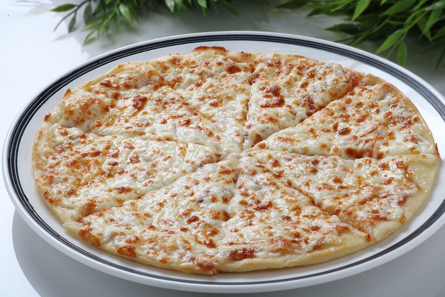 Cheese Pizza  - Small