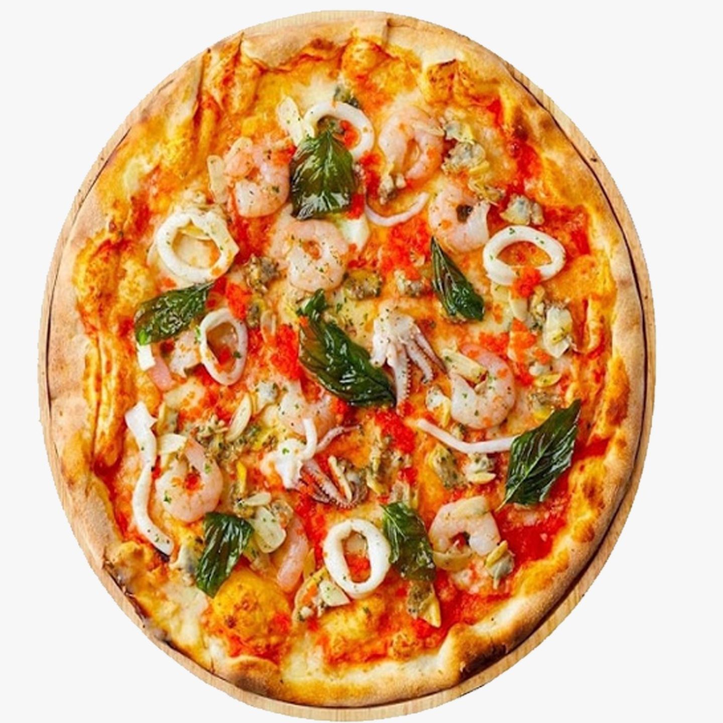 Shrimp - Medium