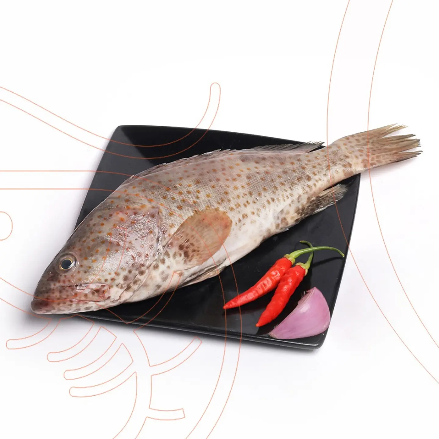 هامور - نصف كيلو