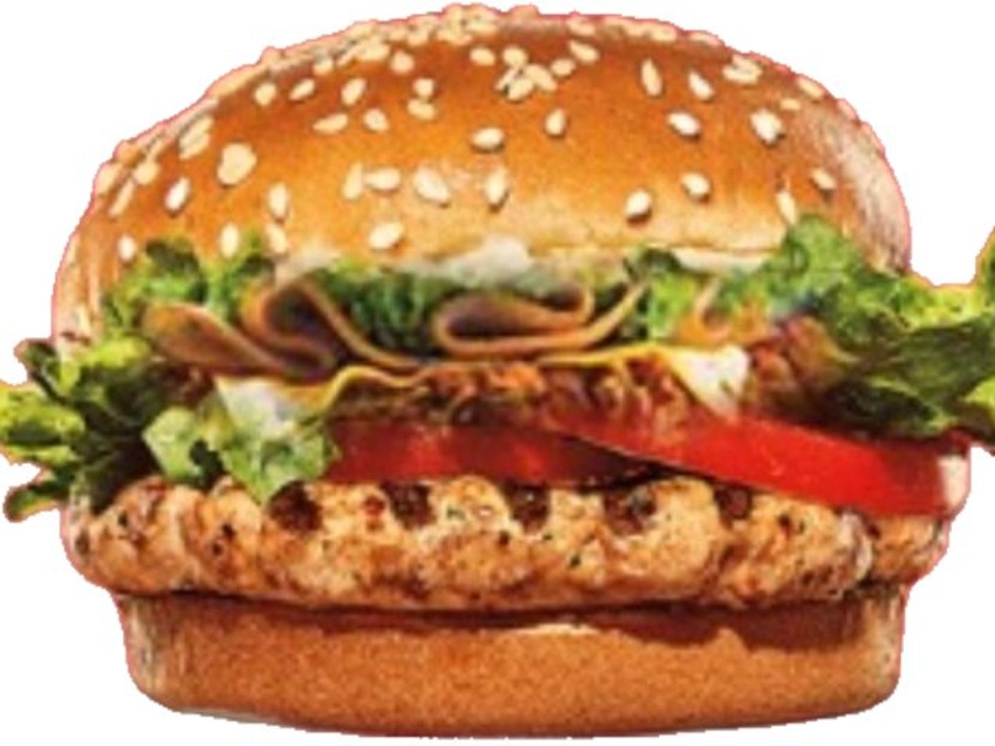 Chicken Chipotle Burger										 - Burger