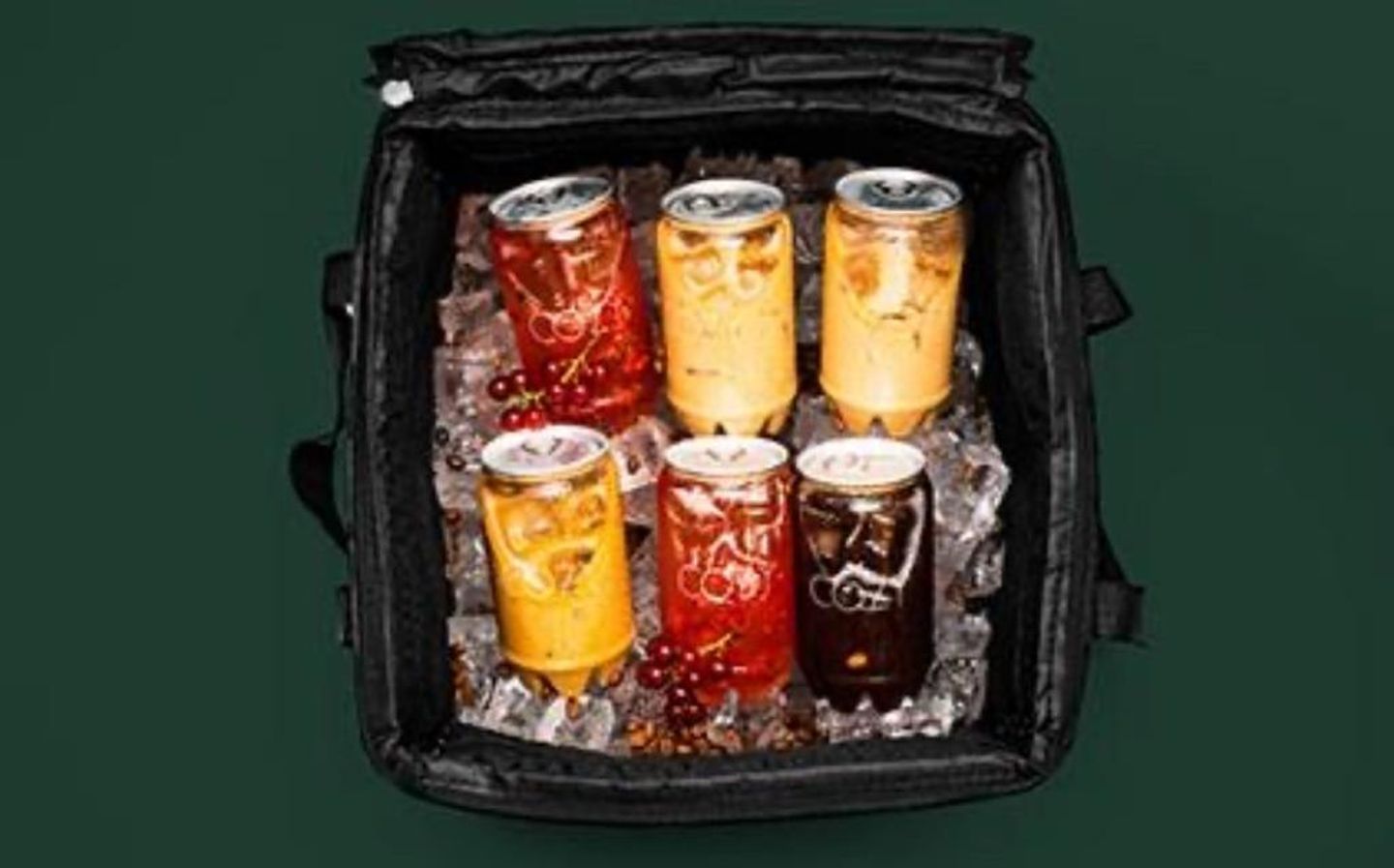 Cozy Coffee Bag - 6 Cans
