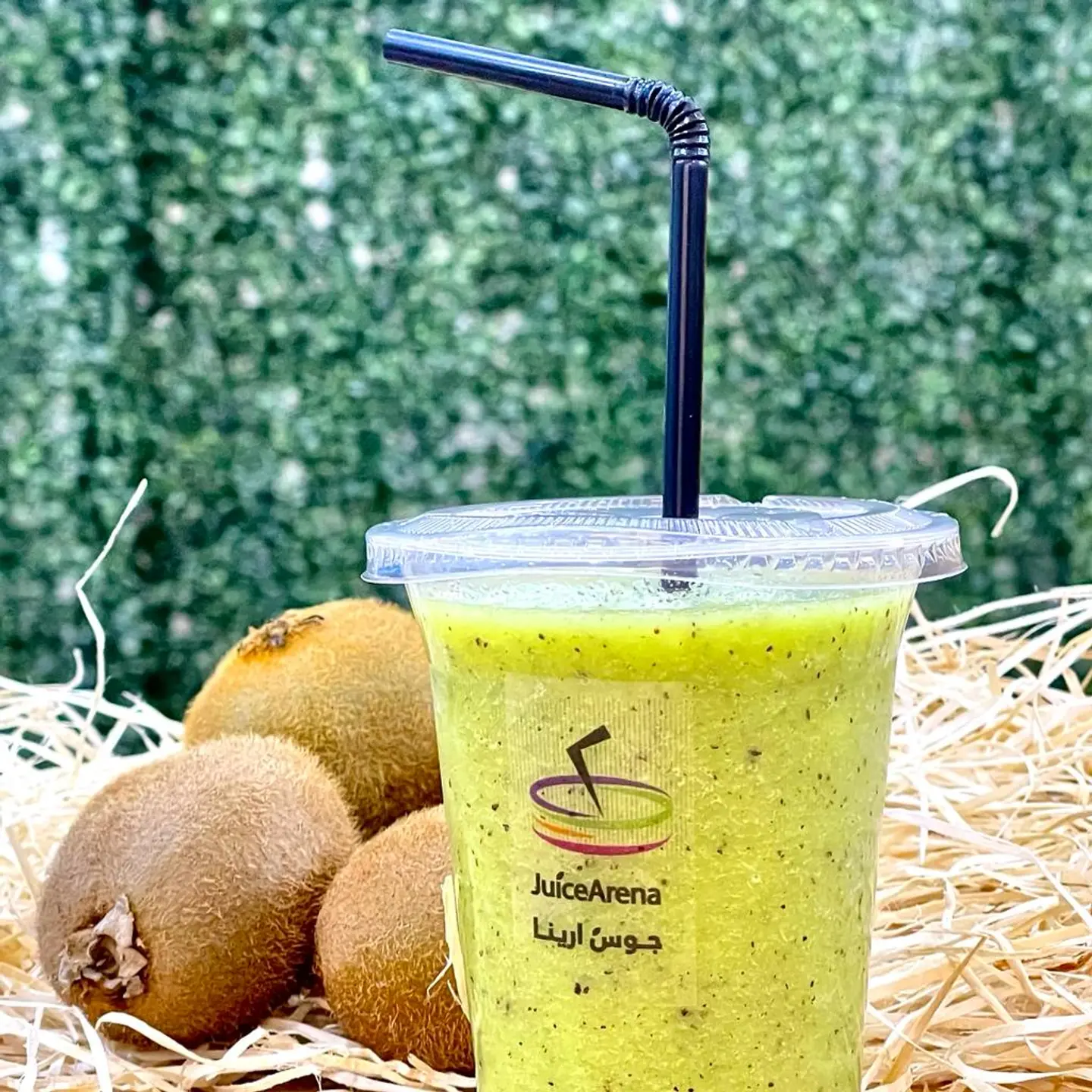 Kiwi - Large