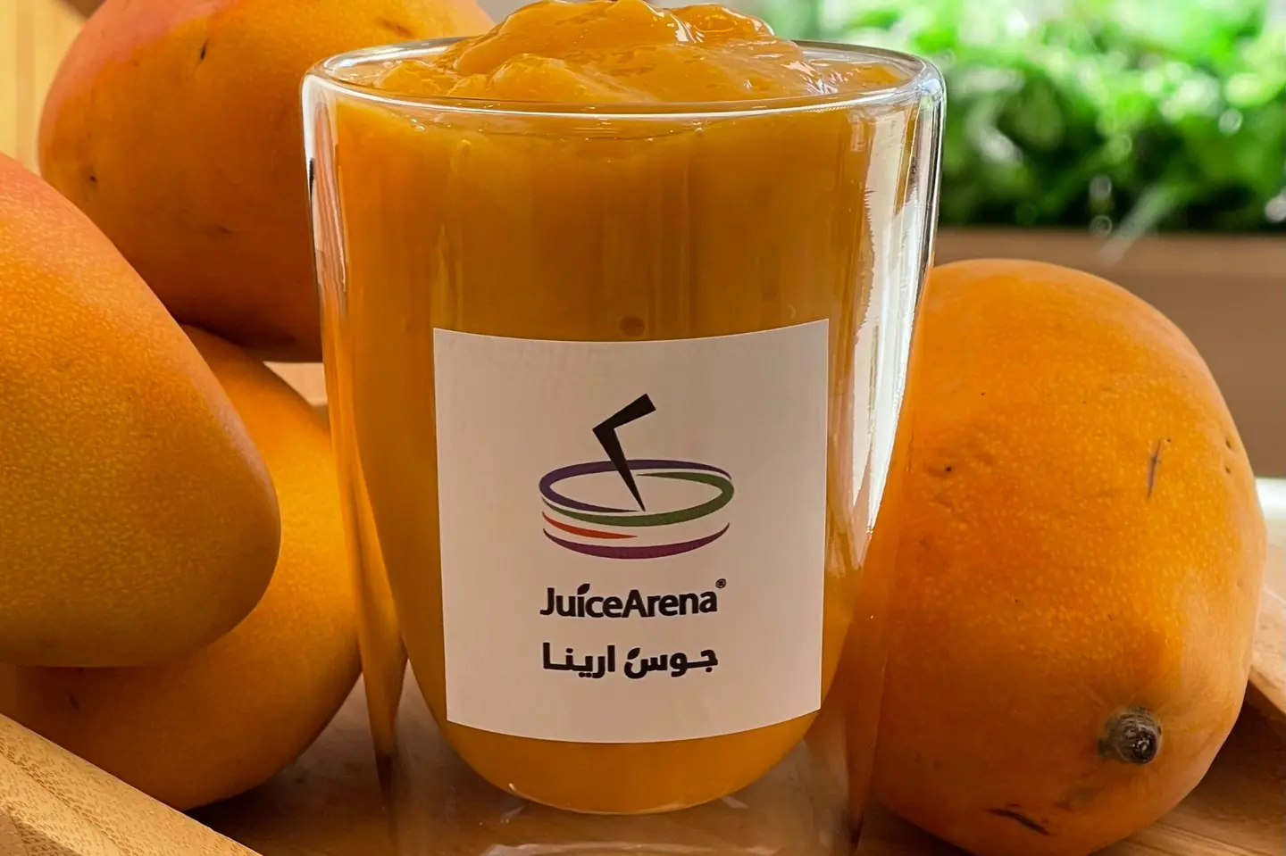 Mango - Large