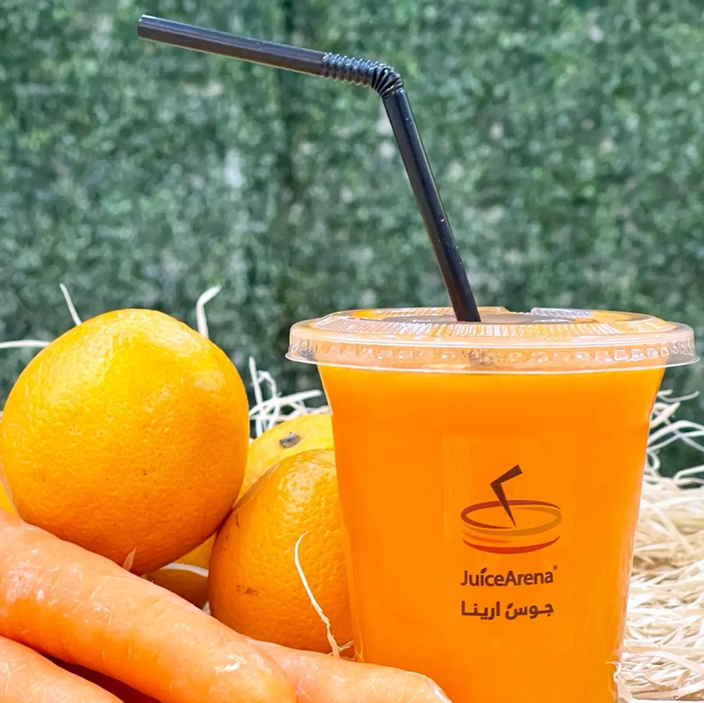 Orange And Carrot - Large