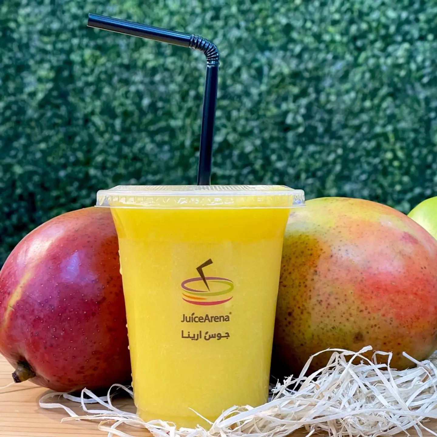 Mango - Large