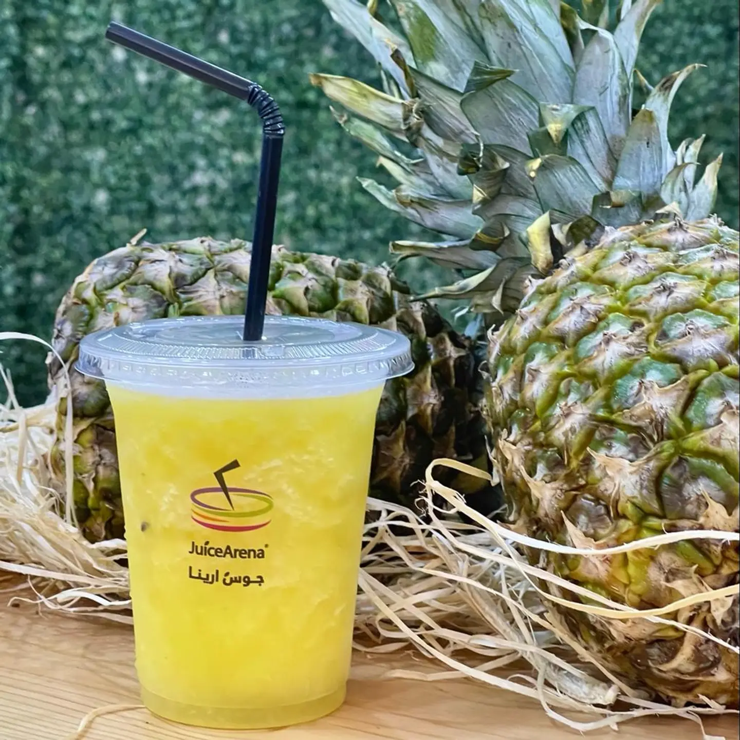 Pineapple - Large