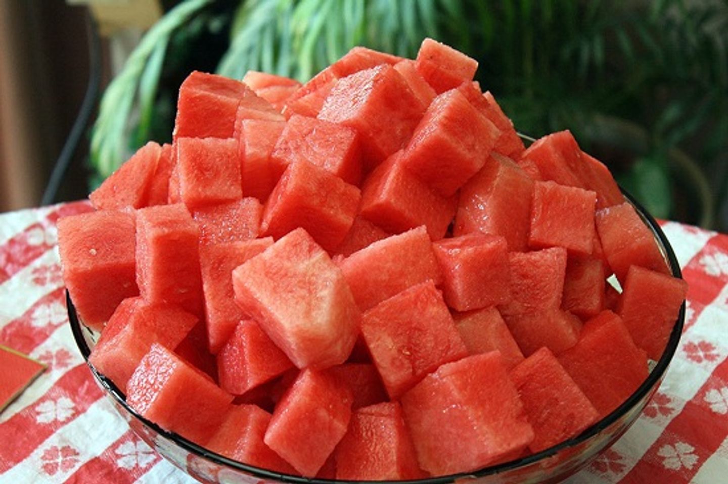 بطيخ - كبير
