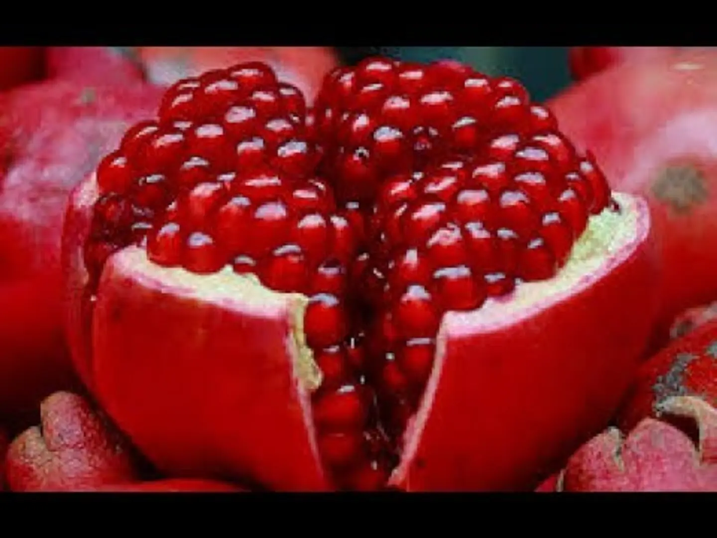 حبيبات رمان  - صغير