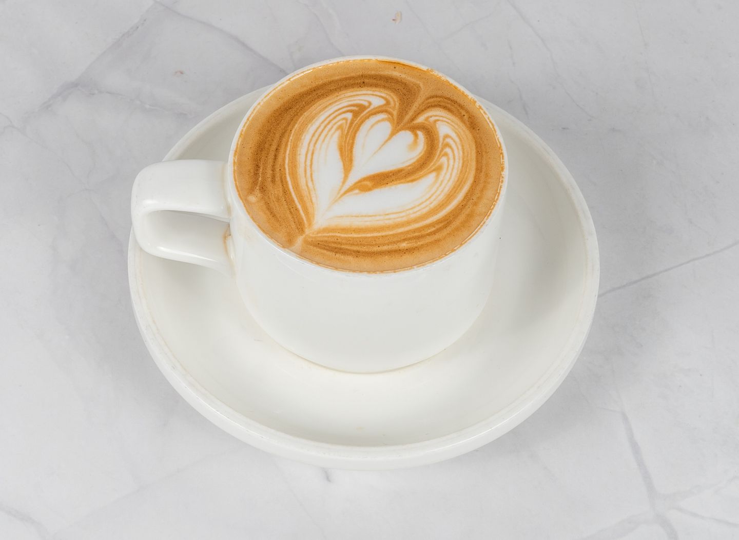 Cappuccino - Small