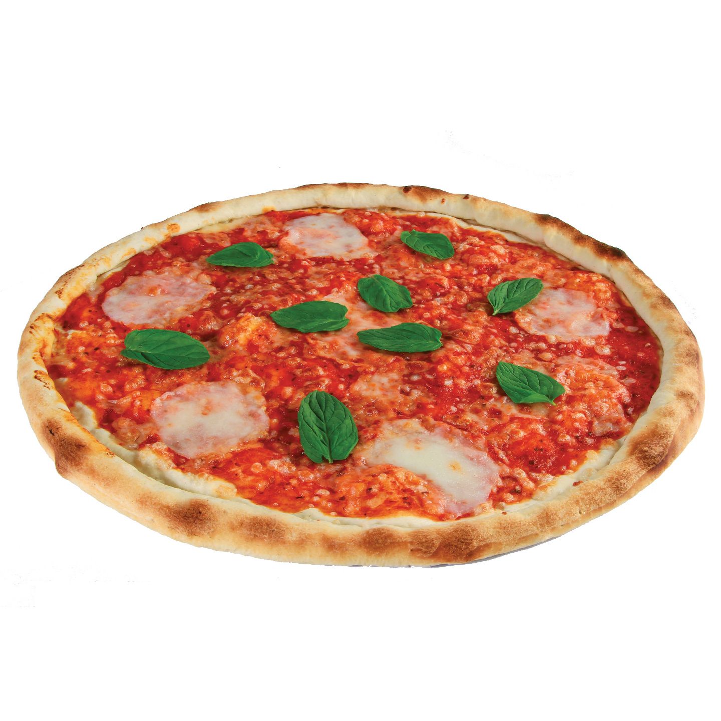 Margharita Classic Pizza									 - Large