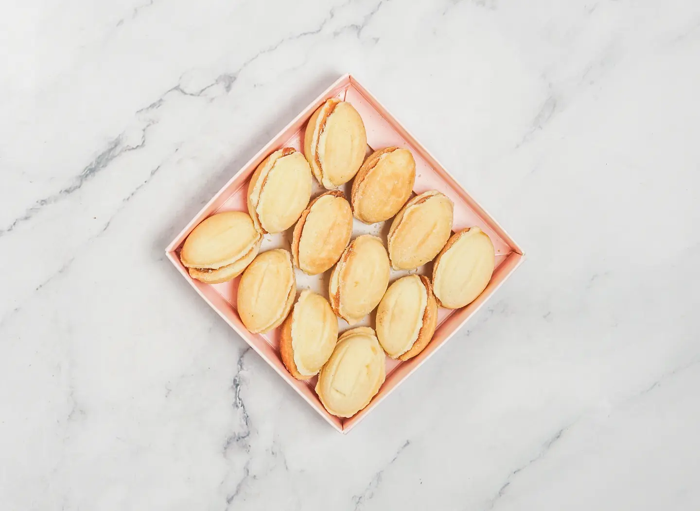 نوتيلا بايت - صغير - حبه ١٠