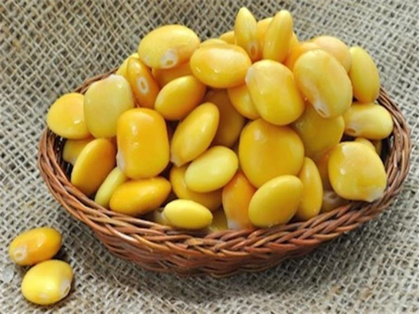 ترمس حلو - 500 جرام