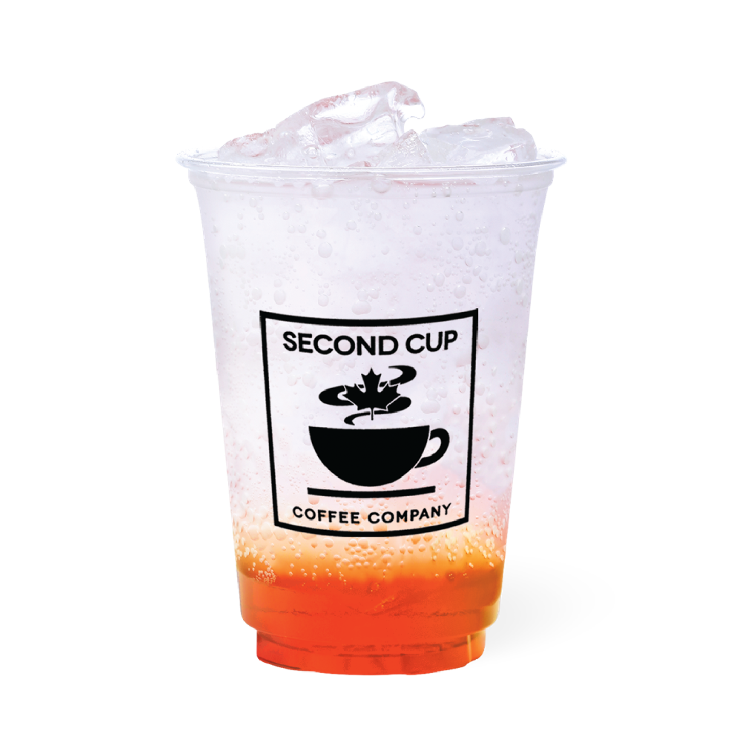 Italian Soda - Small