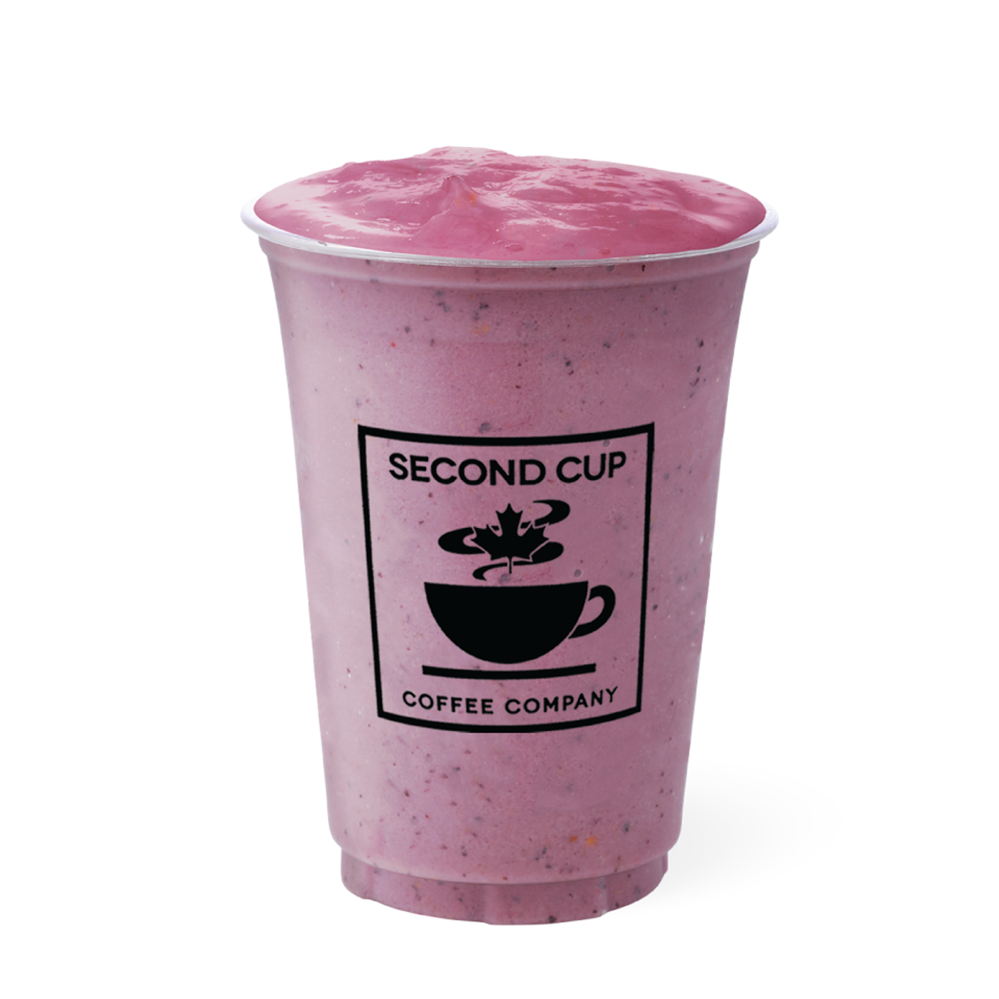 Wild Berry Fruit Chiller - Small