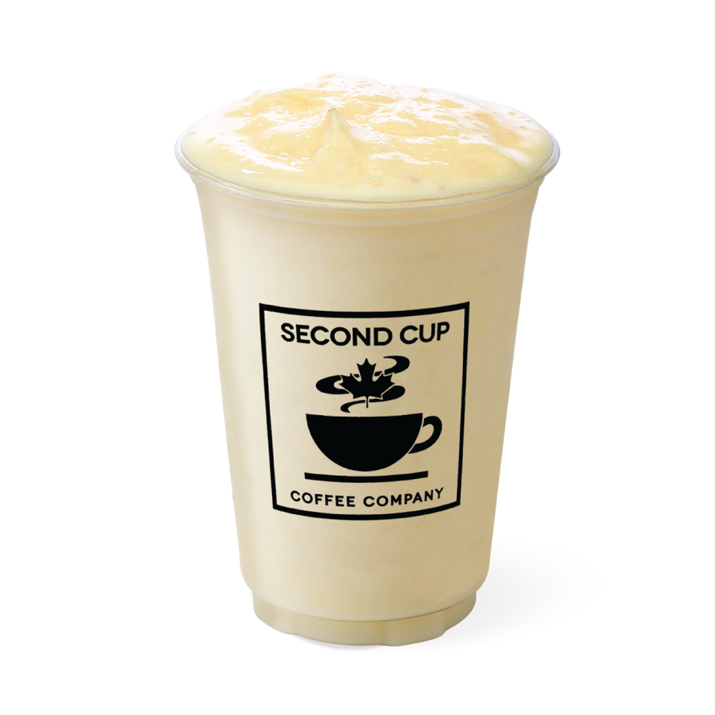 Mango Fruit Chiller - Small