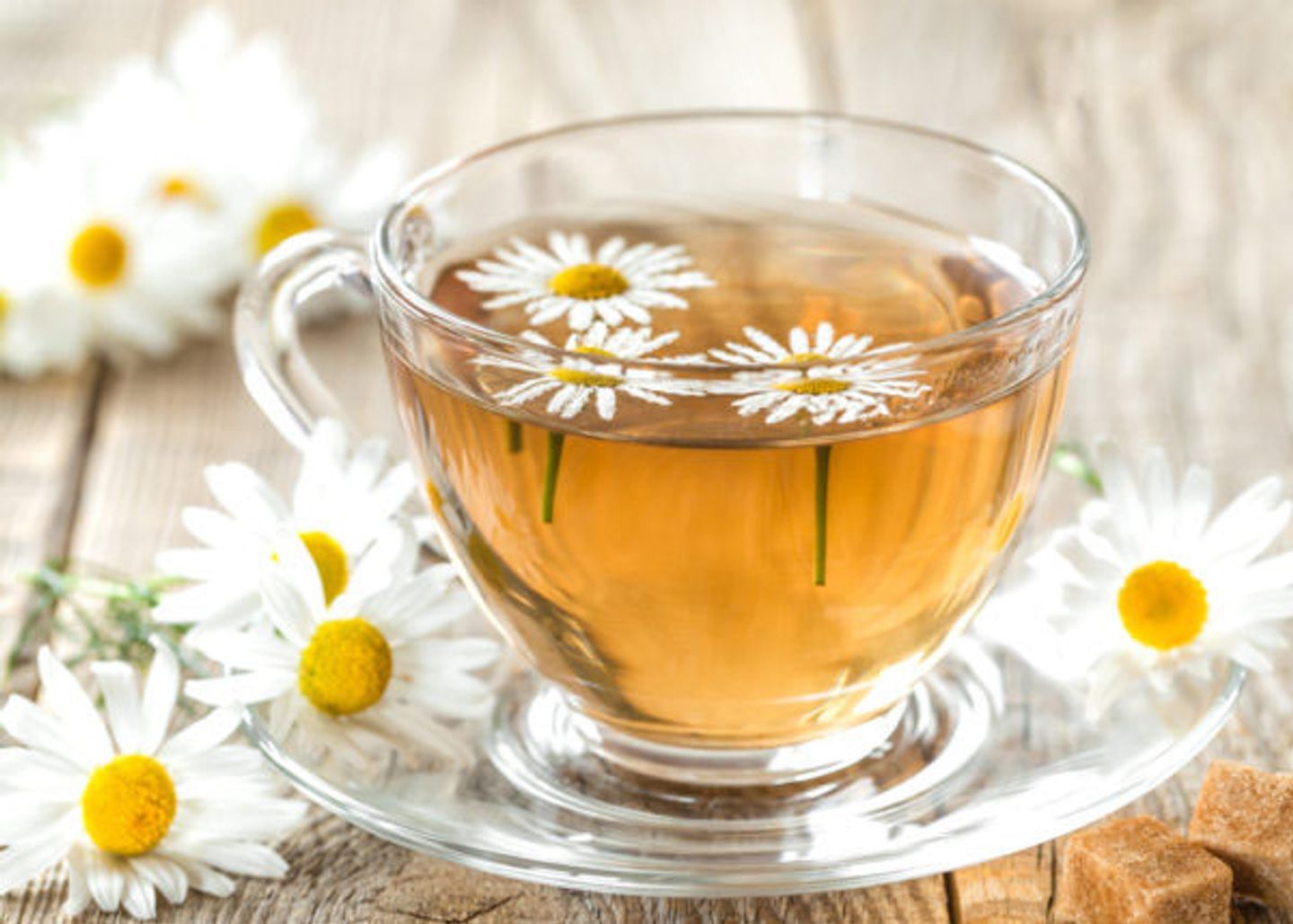 بابونج - صغير