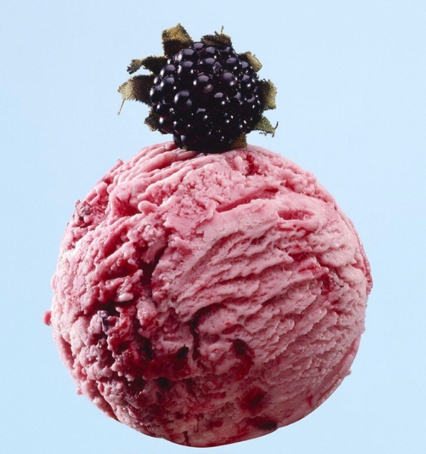 Black Berry - 1 Large Scoop