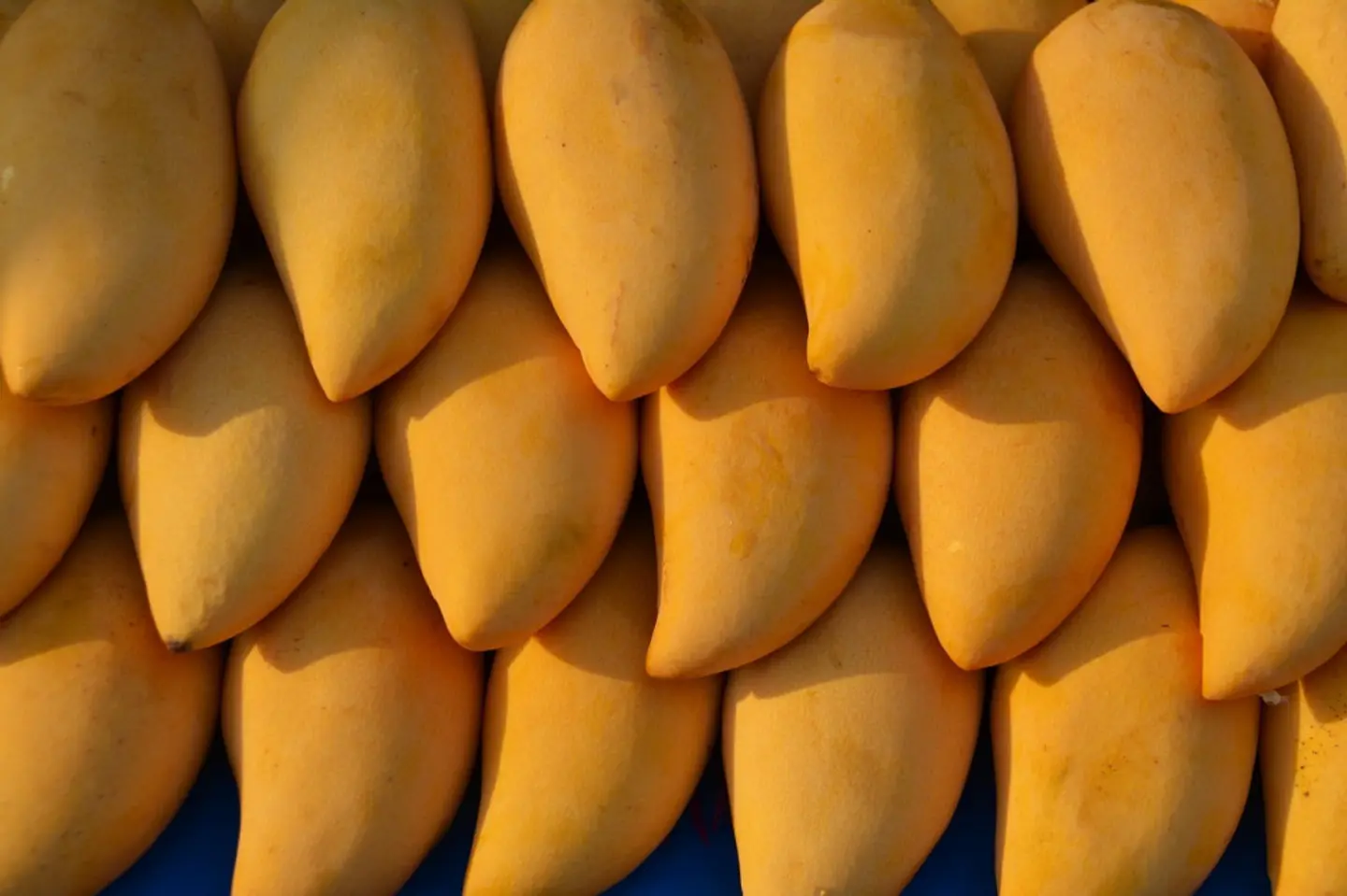 Yemeni Mango Timur - 500 Grams