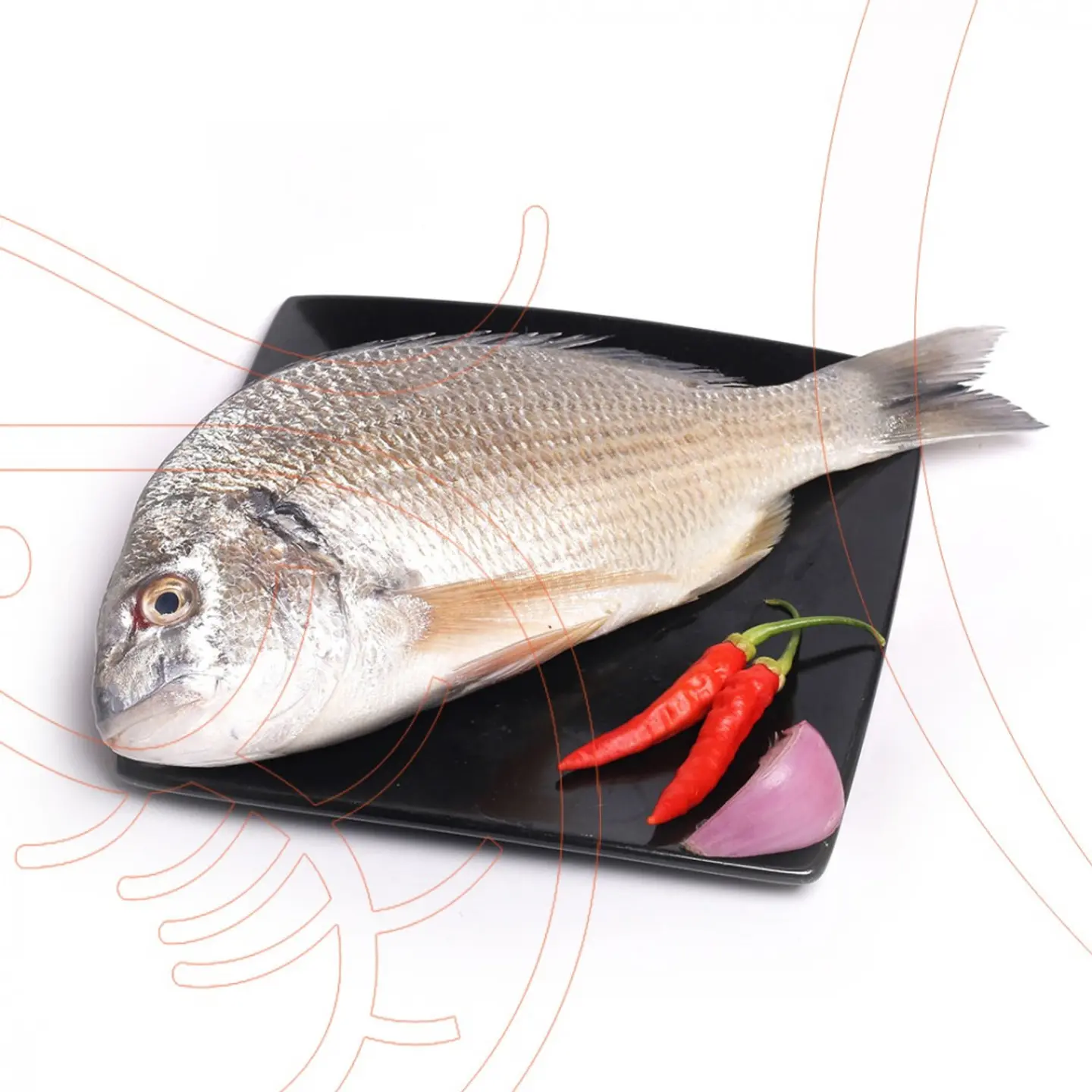Sea Bream - Grilled