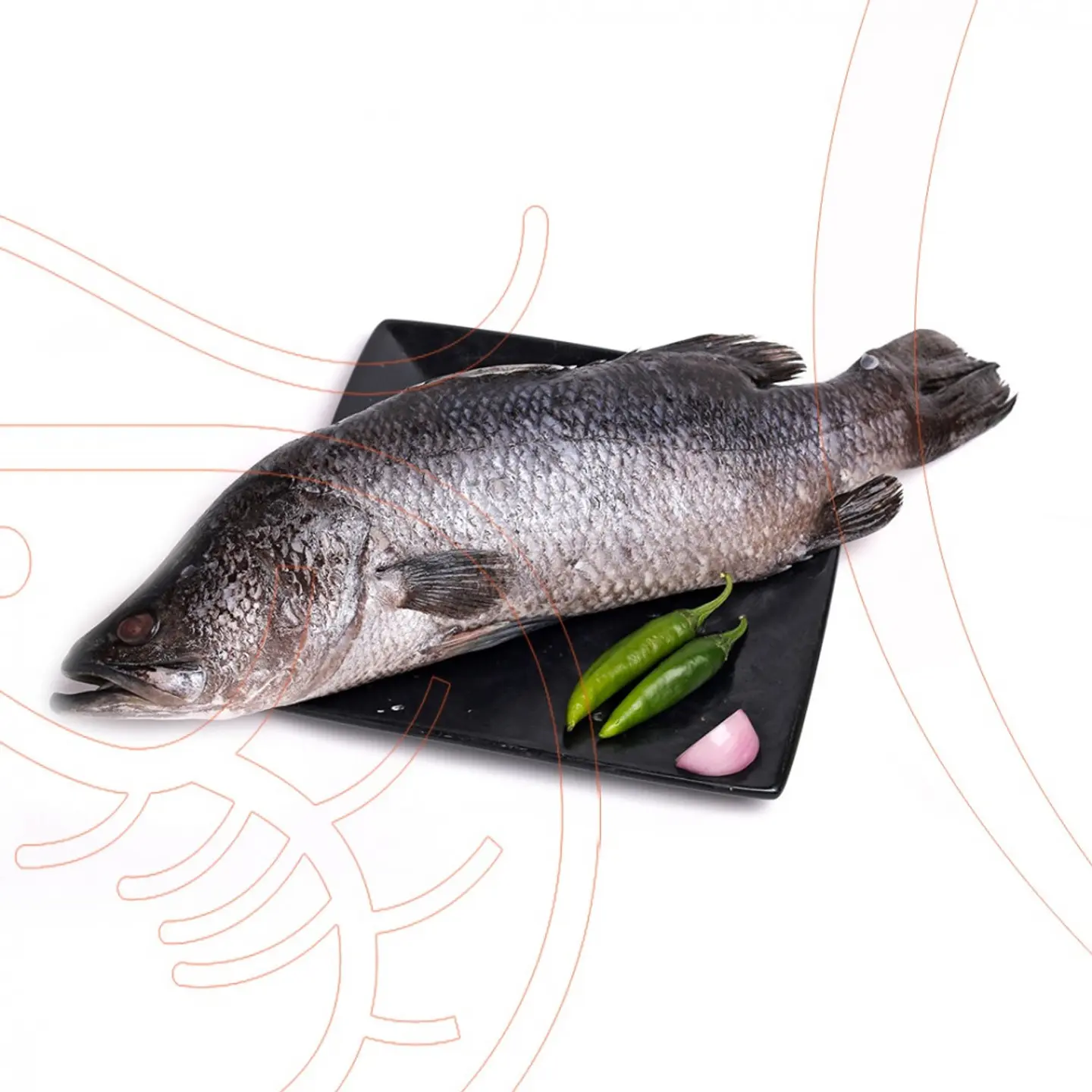 Sepas - Grilled