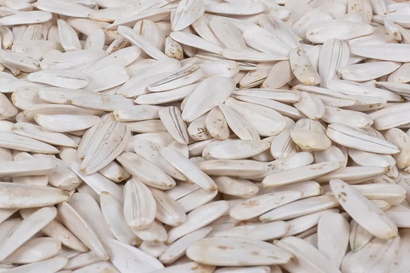 Salted White Sunflower Seeds - 750 Gm