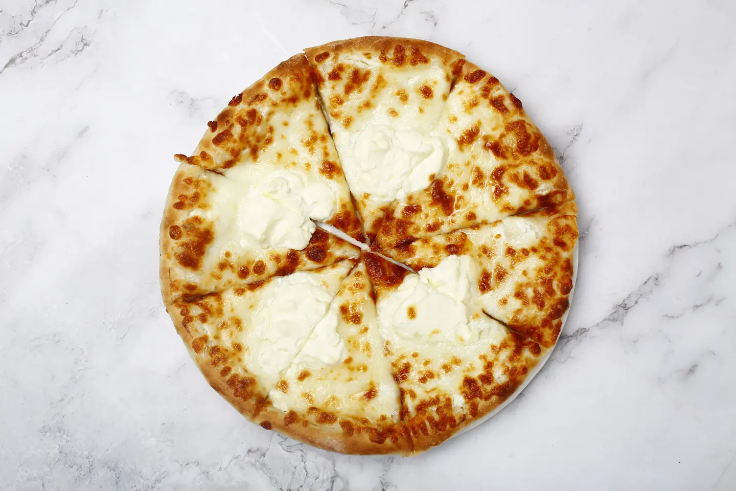 Ash Albulbul - Small