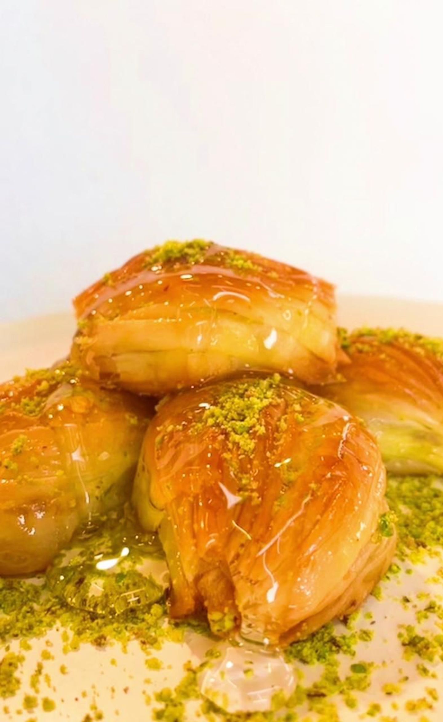 صدفة قشطة - كبير
